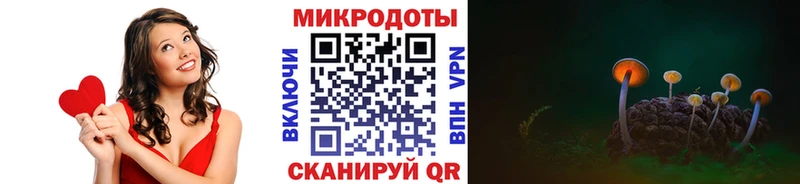 Купить где  Армавир  Псилоцибиновые грибы мицелий 
